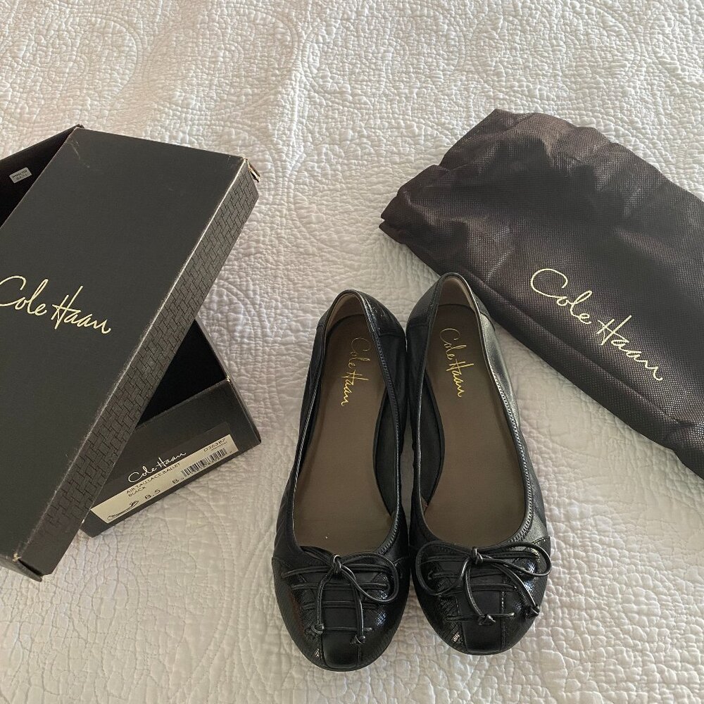 Cole Haan Air Tali Lace Ballet Flats